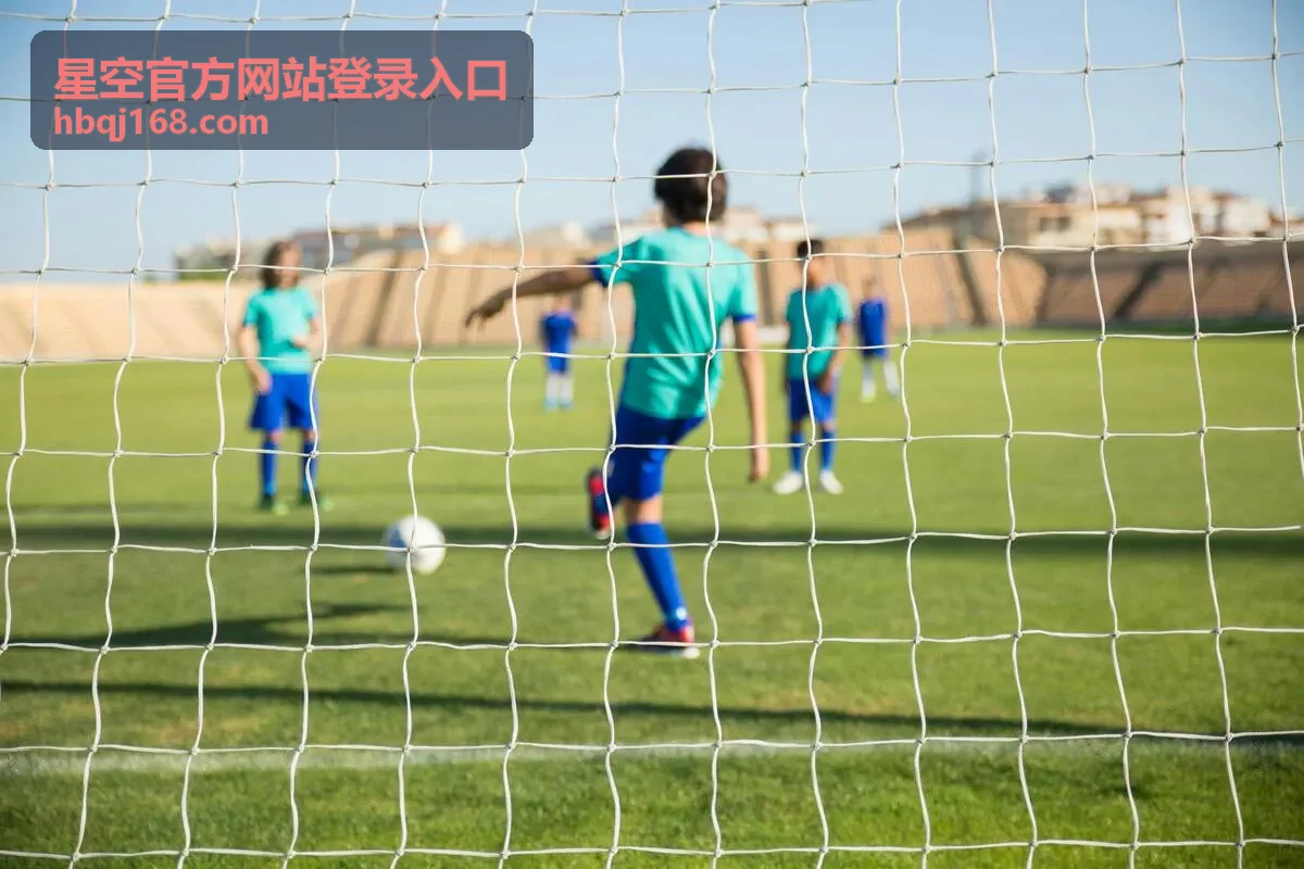 星空官方网站登录入口的登录步骤界面示意